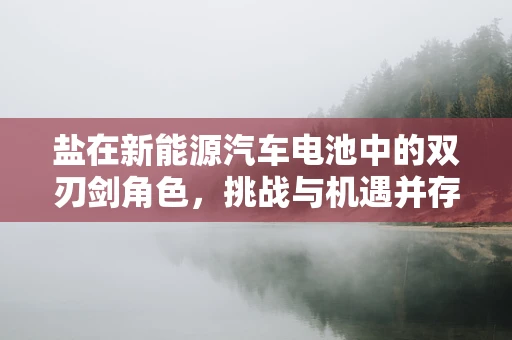 盐在新能源汽车电池中的双刃剑角色，挑战与机遇并存