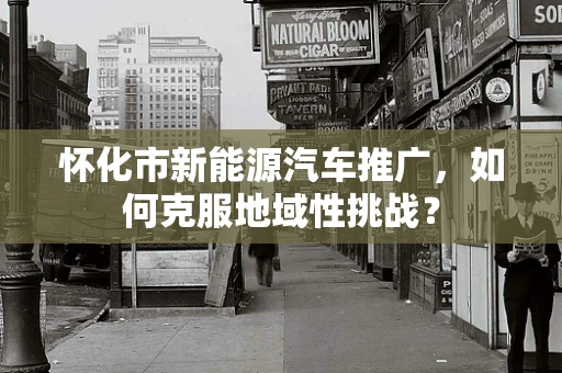 怀化市新能源汽车推广，如何克服地域性挑战？