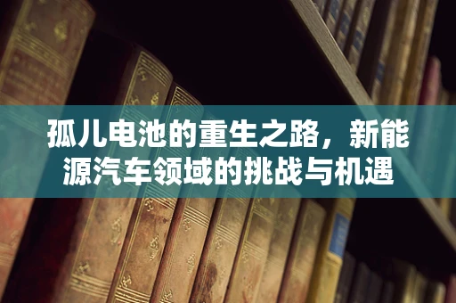 孤儿电池的重生之路，新能源汽车领域的挑战与机遇