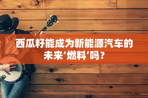 西瓜籽能成为新能源汽车的未来‘燃料’吗？