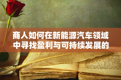 商人如何在新能源汽车领域中寻找盈利与可持续发展的平衡点？
