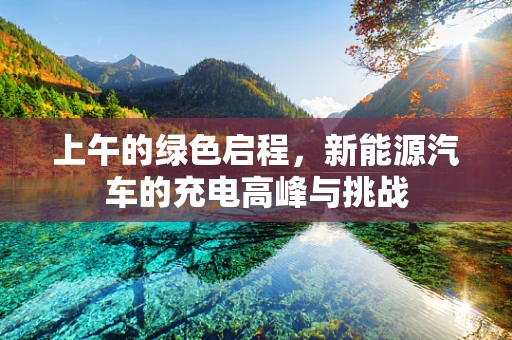 上午的绿色启程，新能源汽车的充电高峰与挑战