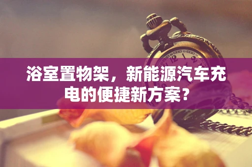 浴室置物架，新能源汽车充电的便捷新方案？