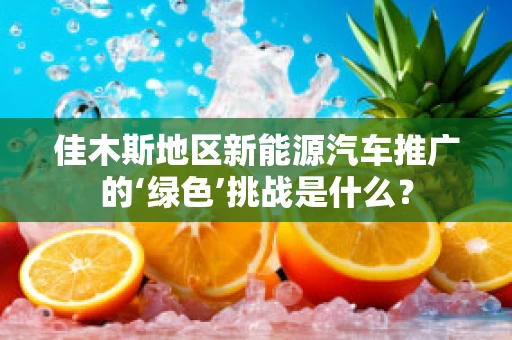 佳木斯地区新能源汽车推广的‘绿色’挑战是什么？