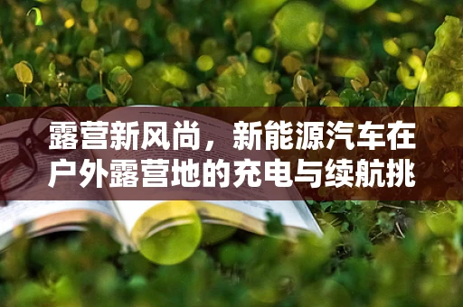 露营新风尚，新能源汽车在户外露营地的充电与续航挑战