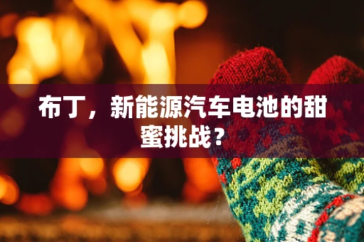 布丁，新能源汽车电池的甜蜜挑战？