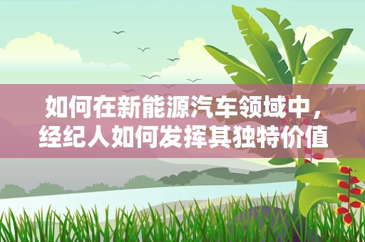 如何在新能源汽车领域中，经纪人如何发挥其独特价值？
