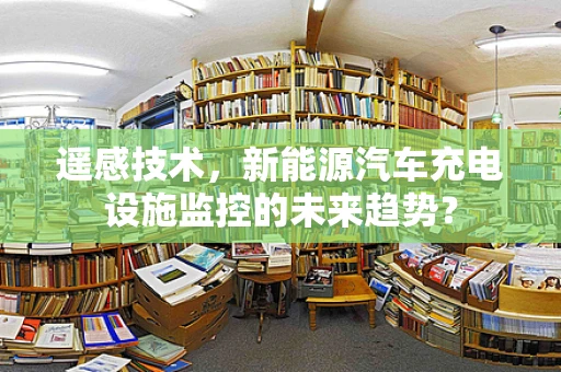 遥感技术，新能源汽车充电设施监控的未来趋势？