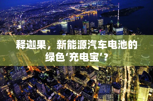 释迦果，新能源汽车电池的绿色‘充电宝’？