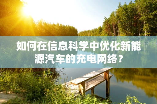 如何在信息科学中优化新能源汽车的充电网络？