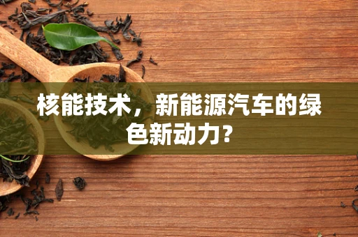 核能技术，新能源汽车的绿色新动力？