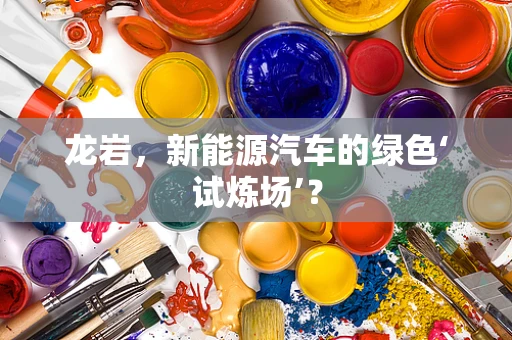 龙岩，新能源汽车的绿色‘试炼场’？