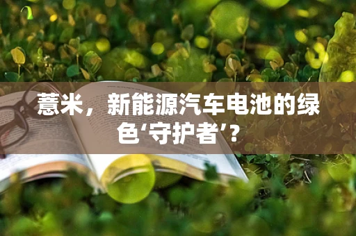 薏米，新能源汽车电池的绿色‘守护者’？