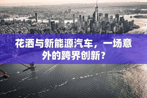 花洒与新能源汽车，一场意外的跨界创新？
