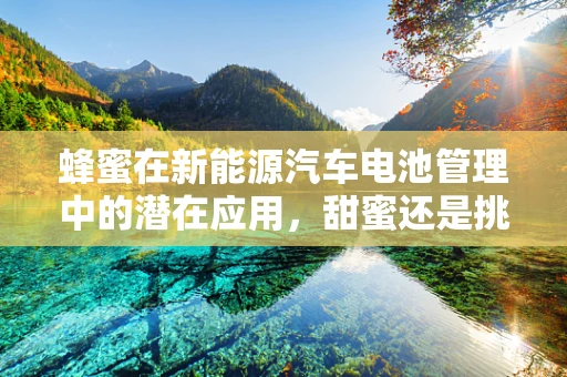 蜂蜜在新能源汽车电池管理中的潜在应用，甜蜜还是挑战？