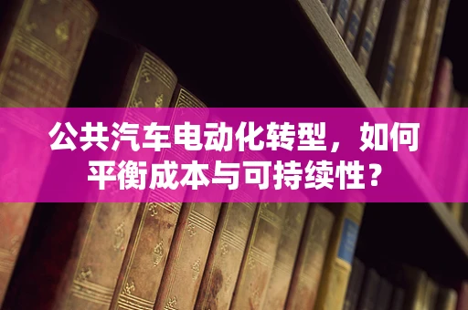 公共汽车电动化转型，如何平衡成本与可持续性？