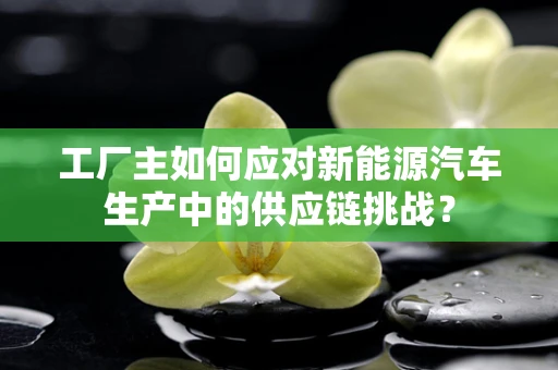 工厂主如何应对新能源汽车生产中的供应链挑战？