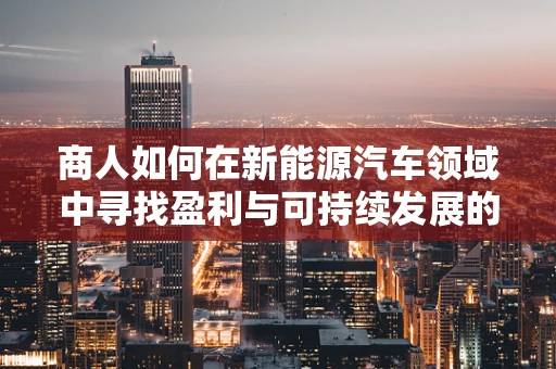 商人如何在新能源汽车领域中寻找盈利与可持续发展的平衡点？