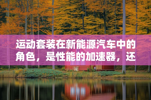运动套装在新能源汽车中的角色，是性能的加速器，还是外观的装饰品？