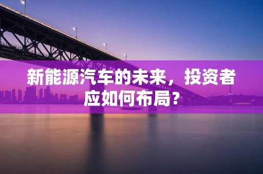 新能源汽车的未来，投资者应如何布局？