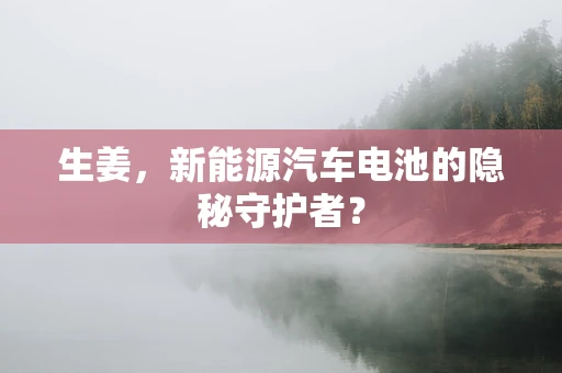 生姜，新能源汽车电池的隐秘守护者？
