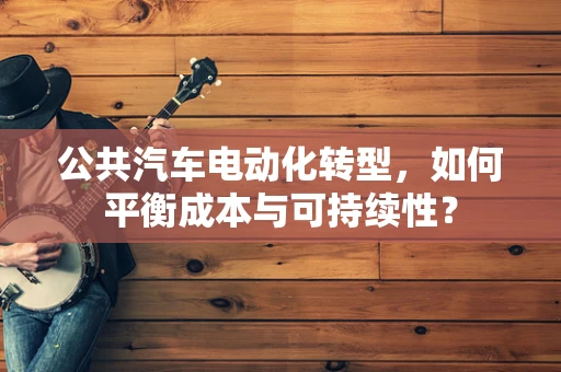 公共汽车电动化转型，如何平衡成本与可持续性？