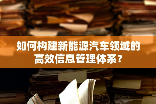 如何构建新能源汽车领域的高效信息管理体系？