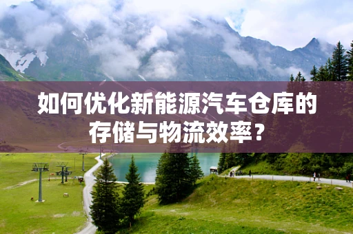 如何优化新能源汽车仓库的存储与物流效率？
