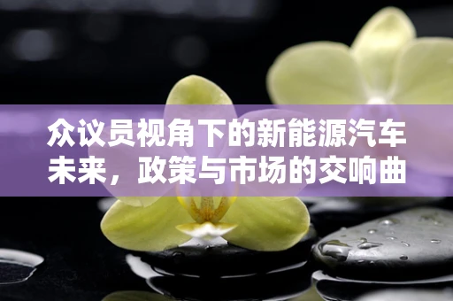 众议员视角下的新能源汽车未来，政策与市场的交响曲？