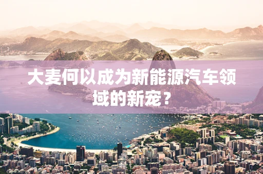 大麦何以成为新能源汽车领域的新宠？