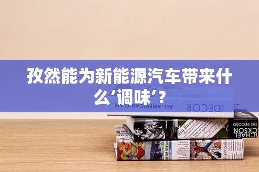 孜然能为新能源汽车带来什么‘调味’？
