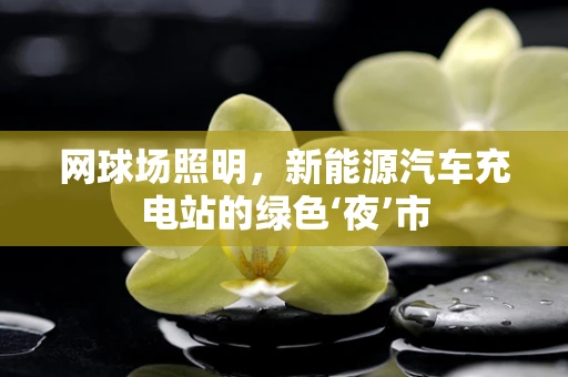 网球场照明，新能源汽车充电站的绿色‘夜’市