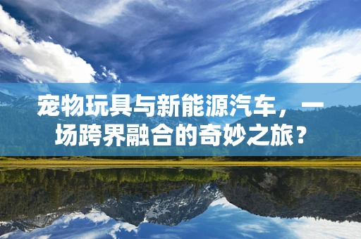 宠物玩具与新能源汽车，一场跨界融合的奇妙之旅？