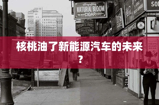 核桃油了新能源汽车的未来？