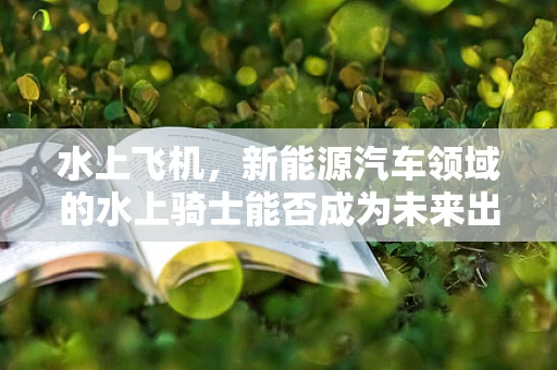 水上飞机，新能源汽车领域的水上骑士能否成为未来出行新宠？