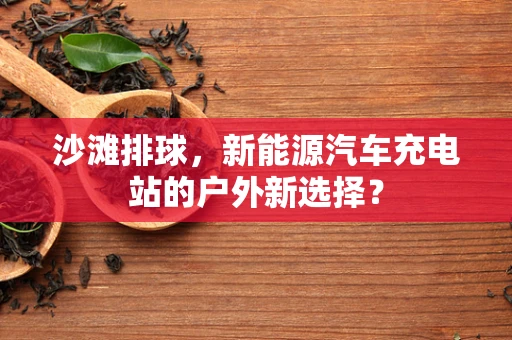 沙滩排球，新能源汽车充电站的户外新选择？