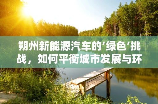 朔州新能源汽车的‘绿色’挑战，如何平衡城市发展与环保需求？
