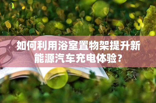 如何利用浴室置物架提升新能源汽车充电体验？