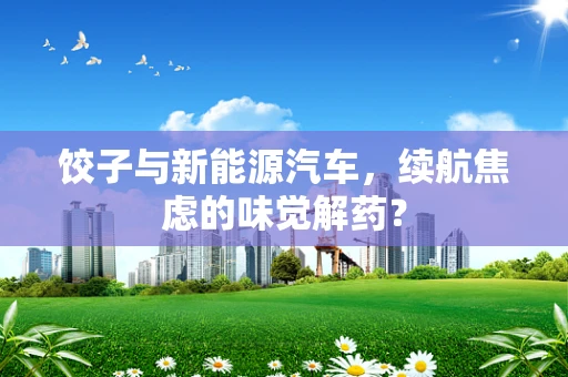 饺子与新能源汽车，续航焦虑的味觉解药？