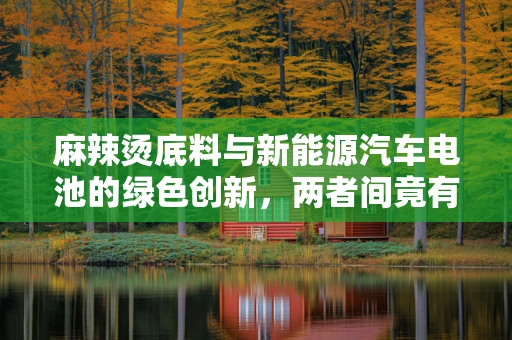 麻辣烫底料与新能源汽车电池的绿色创新，两者间竟有隐秘联系？