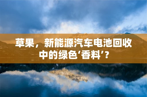 草果，新能源汽车电池回收中的绿色‘香料’？