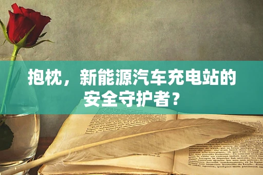 抱枕，新能源汽车充电站的安全守护者？