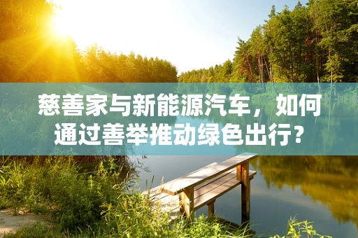 慈善家与新能源汽车，如何通过善举推动绿色出行？