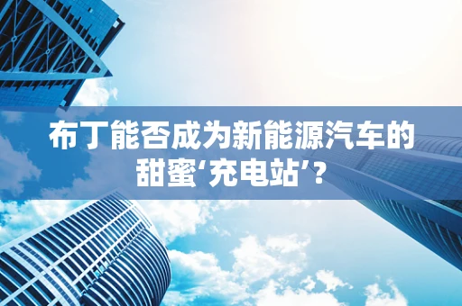 布丁能否成为新能源汽车的甜蜜‘充电站’？
