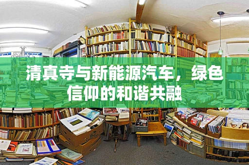 清真寺与新能源汽车，绿色信仰的和谐共融