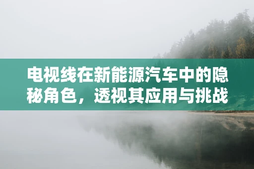 电视线在新能源汽车中的隐秘角色，透视其应用与挑战