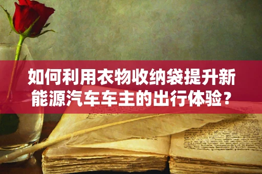 如何利用衣物收纳袋提升新能源汽车车主的出行体验？
