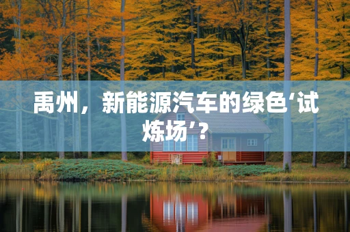 禹州，新能源汽车的绿色‘试炼场’？