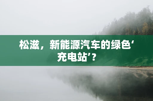 松滋，新能源汽车的绿色‘充电站’？
