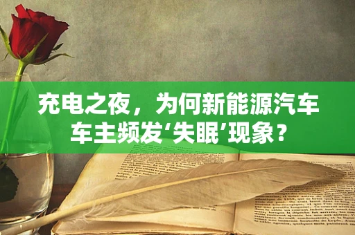 充电之夜，为何新能源汽车车主频发‘失眠’现象？